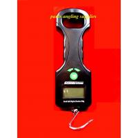 Hand Held Digital scales